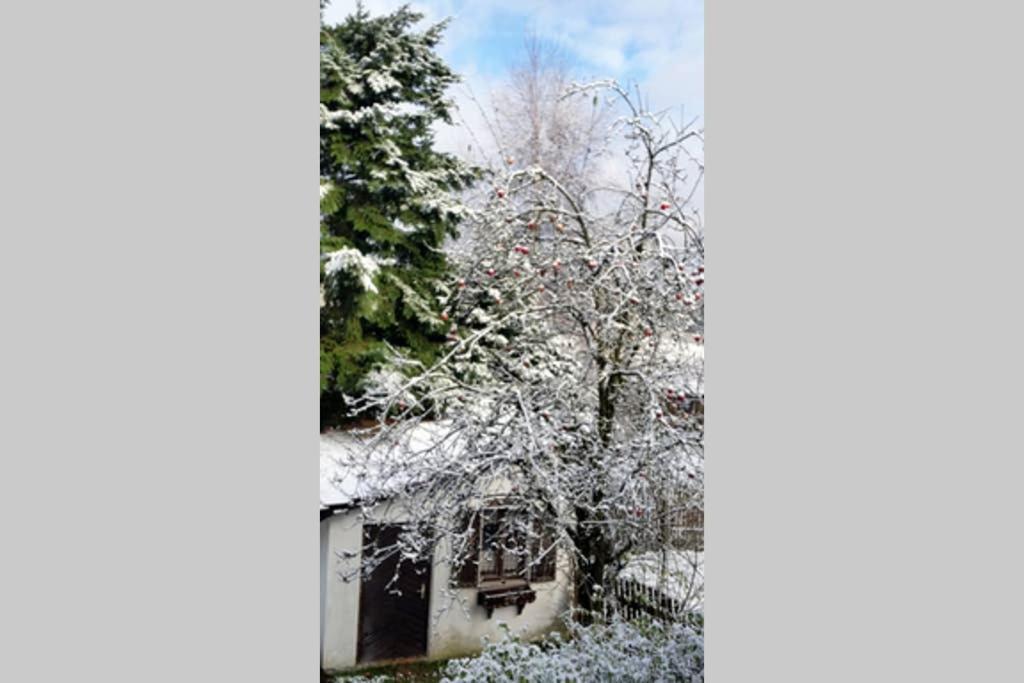 Landhaus Haid Presseck Luaran gambar